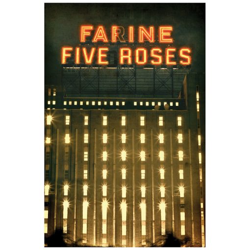 FARINE FIVE ROSES 2012 - brun