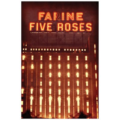 FARINE FIVE ROSES 2012 - rouge