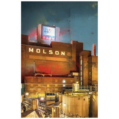 MOLSON 2016 1