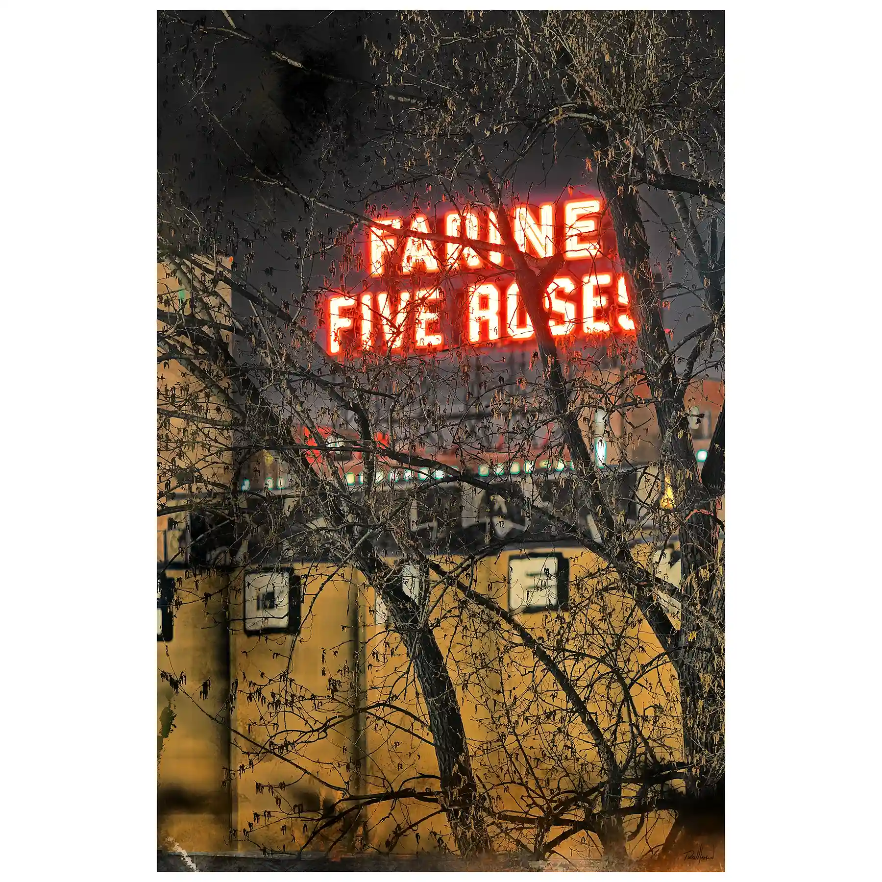 Affiche format 12x18 - Série noire - Farine Five Roses