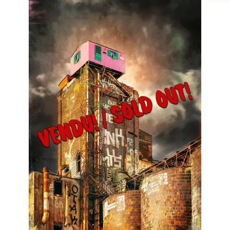 Oeuvre de l'artiste visuel Pascal Normand - 5022B ST-AMBROISE - SOLDOUT